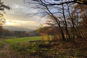 Bank und Blick in einen Herbstabend
