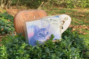 Trauer um ein Haustier