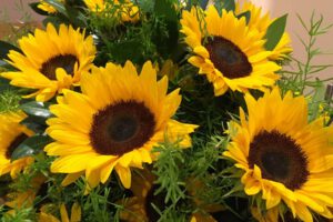 Wie wird man eigentlich Trauerrednerin? Teil 2